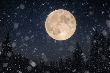 Wall Mural - amazing beautiful big moon in the night sky with stars and winter forest with snow. winter holidays 