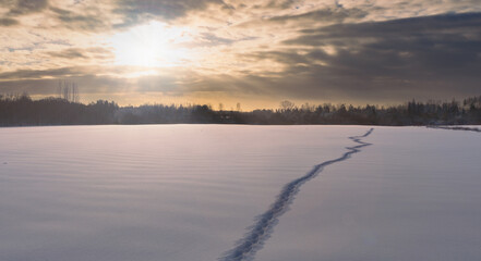 Wall Mural - Landscape view with human steps in snow in the field with sunlight through clouds