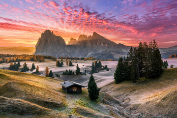 Wall Mural - alpe di siusi valley in italian dolomites