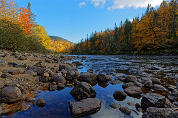 Sticker - Rocks andcolored forest around the Jacques-Cartier river in the National Park, Quebec