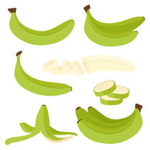 Bananas. Set Of Bananas. Green Unripe Bananas.