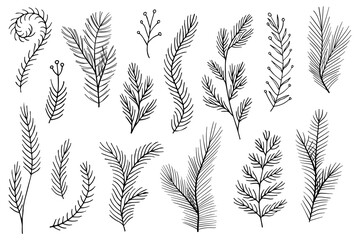 Naklejka na meble set collection plants leaves hand made draw vector	