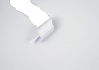 Poster - Torn paper with the curled ripped sides. Realistic torn paper with the ripped edges for copy space and text.