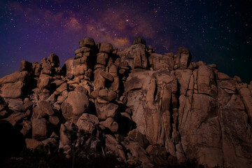 Wall Mural - Starry sky and milky way galaxy at night in Joshua Tree National Park Mojave, California, USA	