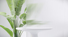 Modern, Minimal Round White Glossy Table Podium With Banana Tree And Reeded Glass Partition In Dappled Sunlight On White Colored Wall For Luxury, Organic, Beauty, Cosmetic Product Display