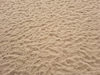 Wall Mural - closeup of sand pattern of a beach in the summer