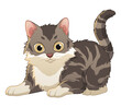 Little Maine Coon Cat Cartoon Animal Illustration
