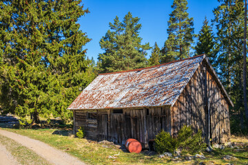 Wall Mural - Old weathered barn by a forest road