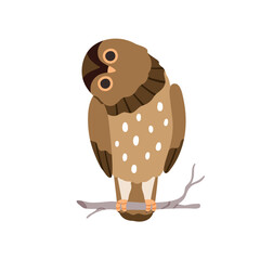 Wall Mural - Cute funny owl with tilted leaned head. Amusing owlet sitting on tree branch, twig. Adorable night bird. Realistic birdie looking with big eyes. Flat vector illustration isolated on white background