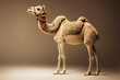 Picture of camel standing in studio