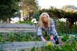 © StratfordProductions - Young caucasian woman wearing checked shirt kneeling while gardening in garden center