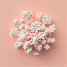 White Dried Coral On The Pastel Pink, Coral Background. Light Blue, Abstract Sea Background.	