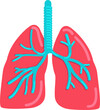 © The img - Lungs semi flat color vector object. Respiratory system. Internal organ. Full sized item on white. Human organ anatomy. Simple cartoon style illustration for web graphic design and animation