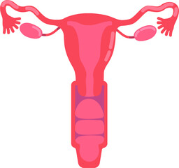 Poster - Female reproductive system semi flat color vector object. Fallopian tubes. Human organ anatomy. Full sized item on white. Simple cartoon style illustration for web graphic design and animation
