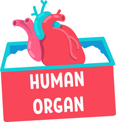 Fototapete - Human organ for transplantation semi flat color vector object. Heart transplant procedure. Full sized item on white. Simple cartoon style illustration for web graphic design and animation