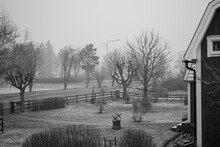 Winter In Village. Represents Coldness, Darkness, Early Winter, Black-n-White.  Works Great As Home Painting In A Darker House. Shot On Nikon D60 Sweden, Vetlanda