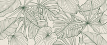 Tropical Foliage Background Vector. Elegant Hand Drawn Tropical Monstera And Palm Leaves Line Art Background. Design Illustration For Decoration, Wall Decor, Wallpaper, Cover, Banner, Poster, Card. 