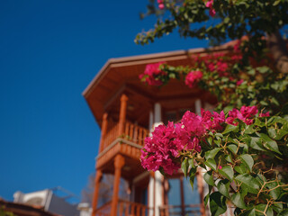 Akyaka, a coastal city in southwestern Turkey, is a growing center for international tourism. sunny warm autumn day, Beautiful traditional turkish houses