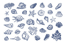 Shells, Corals Sea Vector Line Illustartions Set.