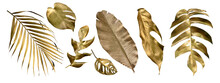 Golden Tropical Leaf PNG On Transparent Background Abstract Monstera Leaf Decoration Design, PNG