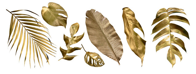 Golden tropical leaf PNG on transparent background Abstract monstera leaf decoration design, PNG