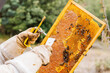 © ADDICTIVE STOCK - Anonymous male beekeeper in uniform examining honeycomb
