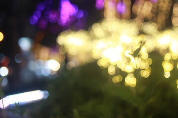 Wall Mural - The bokeh light of icon Siam