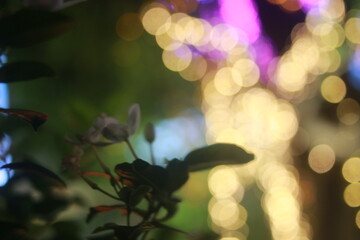 Wall Mural - The bokeh light of icon Siam