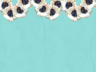 Wall Mural - Blue paper texture with flowers border. White anemones. Place for text. 