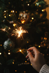 Wall Mural - Burning sparkler in female hand on background of christmas tree lights in dark room. Happy New Year! Hand holding firework against stylish decorated tree with illumination. Atmospheric time