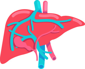 Poster - Liver semi flat color vector object. Internal organ. Full sized item on white. Check liver functions. Human organ anatomy. Simple cartoon style illustration for web graphic design and animation