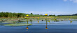 Water lilies panorama. Yellow water lilies are reflected in the water. 
Seerosen. Gelbe Seerosen spiegeln sich im Wasser.