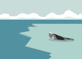 Wall Mural - A seal is lying on the ice in Antarctica in the background are mountains. Isolated vector graphic