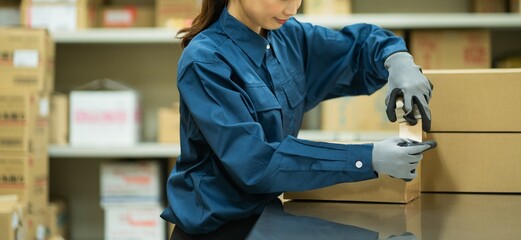 Poster - 倉庫内作業をする日本人女性