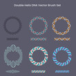© Julee Ashmead - Double Helix DNA Vector Brush Set