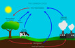 the carbon cycle diagram