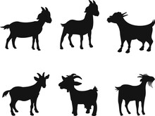 Goat Set Isolated Vector Silhouette