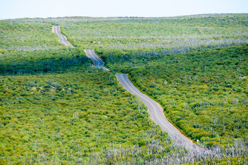 Sticker - Flinders Chase National Park - Kangaroo Island