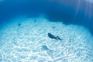 Wall Mural - snorkeling scuba diving in the great barrier reef on a sunny day with clear water ocean