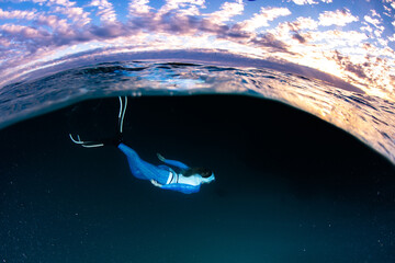 Wall Mural - snorkeling scuba diving in the great barrier reef on a sunny day with clear water ocean