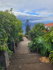 Wall Mural - cenic view over the coast of madeira