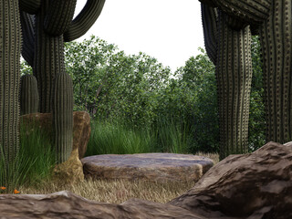 Wall Mural - Rock podium in tropical forest for product presentation and on transparent background.
