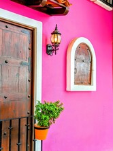 Green Plant Hanging From A Door Fence With Pink House Wall