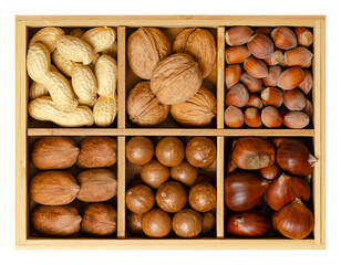Wall Mural - Mix of six different nuts in their shells, decorative assorted, in wooden box with compartments. Peanuts, walnuts, hazelnuts, pecans, macadamia nuts and sweet chestnuts. Close-up, isolated from above.