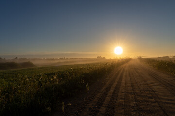 Sunrise on the road in the countryside on a foggy morning.