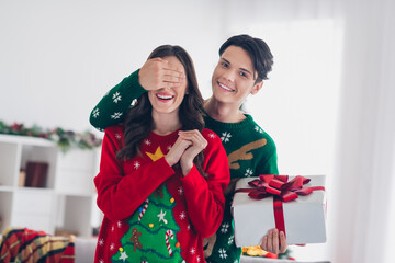 Canvas Print - Photo of two lovely people couple wear ornament sweaters boyfriend give girlfriend close eyes surprise box with bun excited indoors