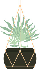 Hanging Houseplant Vector Illustration