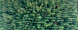 draufsicht tannenwald, baumwipfel von oben, luftaufnahme mit drohne, wald überblick, high resolution panorama, forest landscape, pine trees, fresh green 