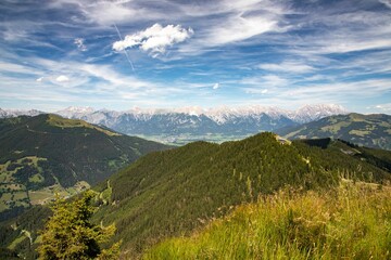 Poster - Beautiful scenery of a forested hillside on the background of rocky mountains