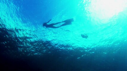 Poster - Indonesia, diving and underwater person snorkel in the sea or ocean with tropical fish. Freedom, ecology and snorkeler dive of a person on holiday in nature swimming in natural water environment